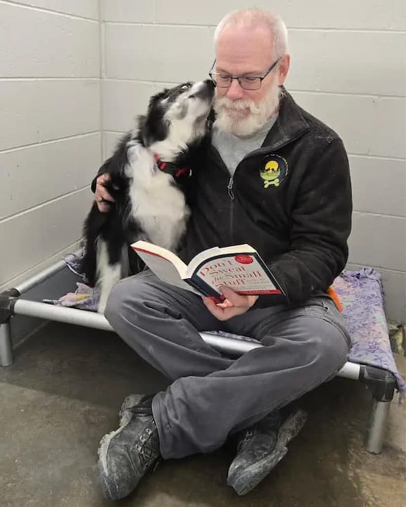 Staff member reading a book to a border collie on a Kuranda bed in a boarding suite