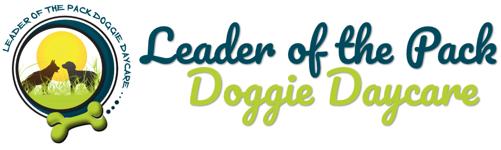 Leader of the Pack Dog Daycare 