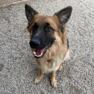 458546949_1081682950628861_3227130257899870204_n