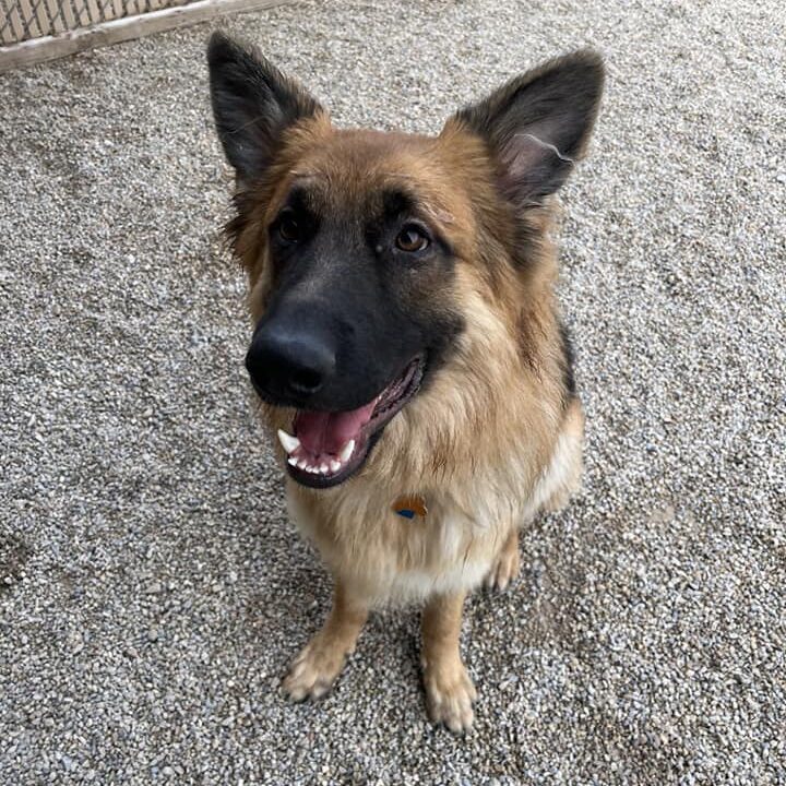 458546949_1081682950628861_3227130257899870204_n